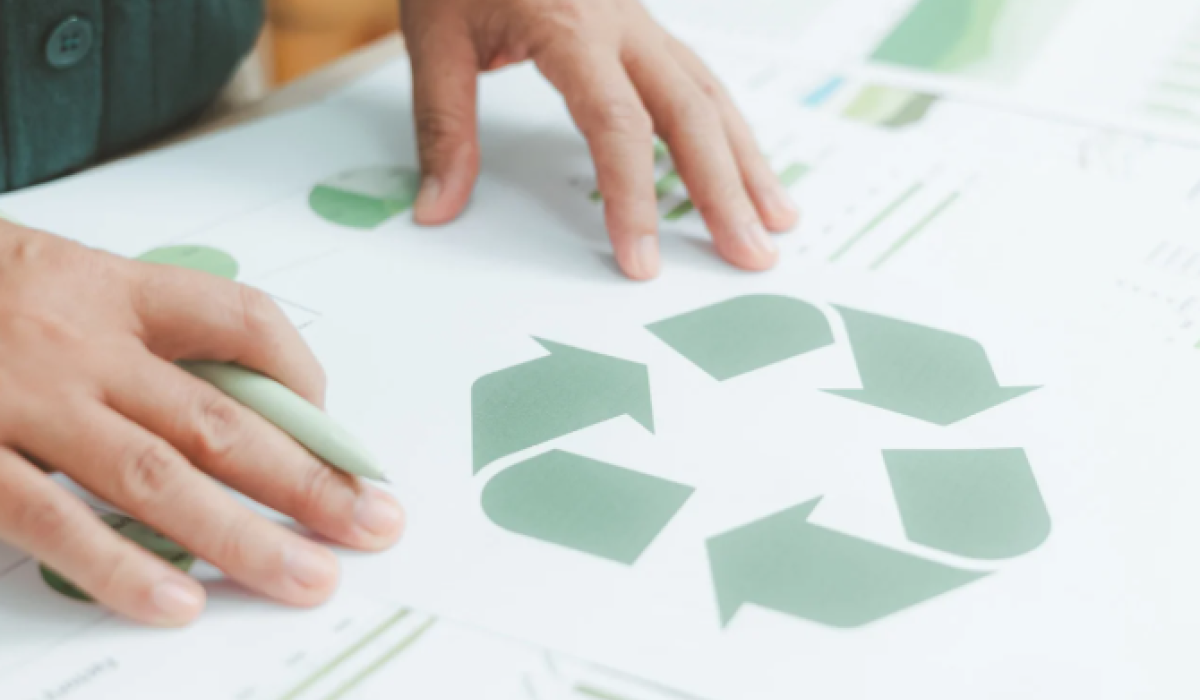 Descarbonização nas MEI, Micro e Pequena Empresa: Caminhos para a Sustentabilidade e Competitividade